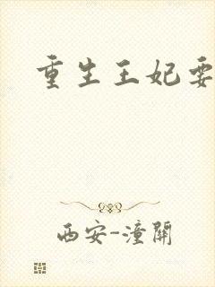 重生王妃要和离