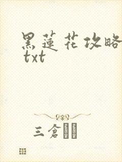 黑莲花攻略手册 txt