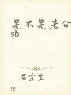 是不是老公的小sb