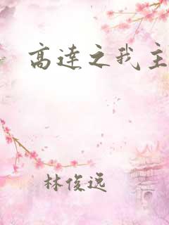 高达之我主沉浮