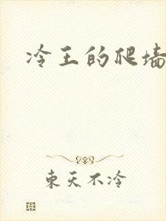 冷王的爬墙丑妃