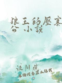 狼王的压寨小相公 小说