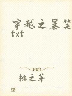 穿越之暴笑王妃txt