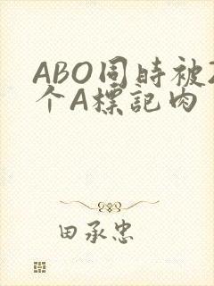 ABO同时被2个A标记肉