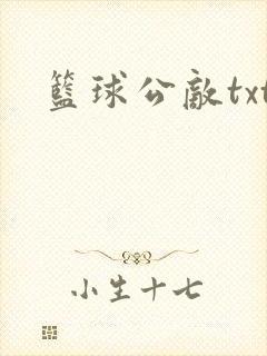 篮球公敌txt