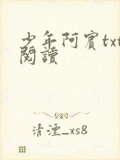 少年阿宾txt阅读