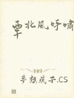 西北风呼啸的中午