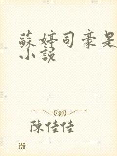 苏婷司豪是什么小说