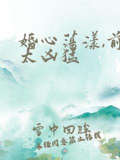 婚心荡漾,前夫太凶猛