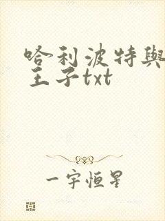 哈利波特与混血王子txt