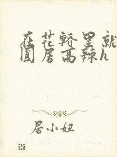 在花轿里就开始圆房高辣h