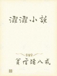 涩涩小说