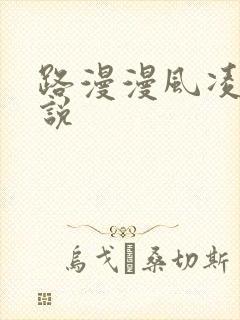 路漫漫风凌轩小说