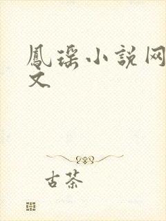 凤瑶小说网高辣文