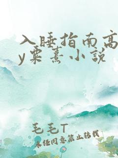 入睡指南高干by粟熹小说