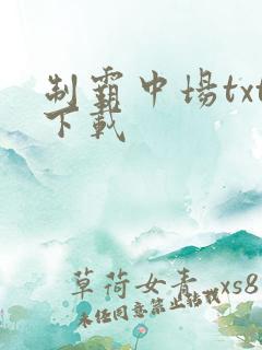 制霸中场txt下载