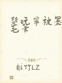 楚晚宁被墨燃塞毛笔