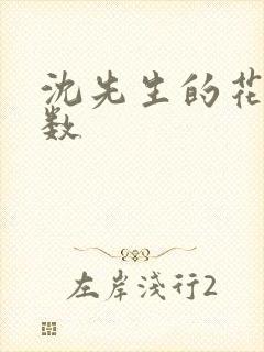 沈先生的花式调数