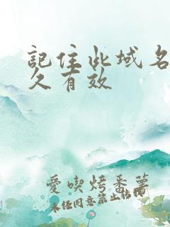 记住此域名记永久有效