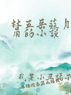 林五岳苏月灵主角的小说
