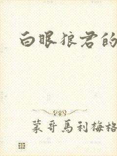 白眼狼君的小说
