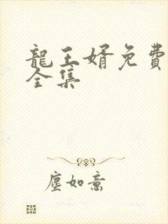龙王婿免费完结全集