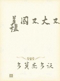 美国又大又长又租