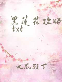 黑莲花攻略手册 txt
