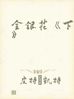 金银花《下厨房》