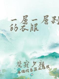 一层一层剥开我的衣服