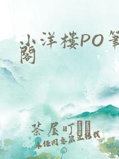 小洋楼PO笔趣阁