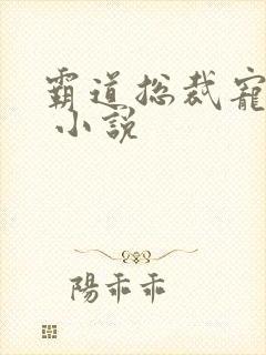 霸道总裁宠上天 小说