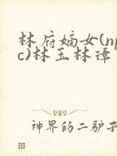 林府嫡女(npc)林玉林璋