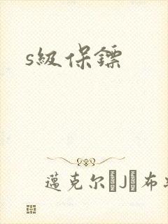 s级保镖