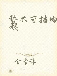 势不可挡肉到飞起