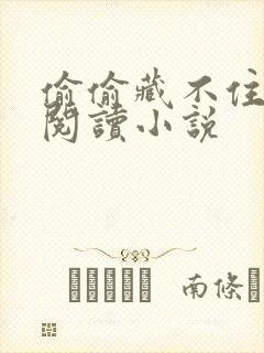 偷偷藏不住免费阅读小说