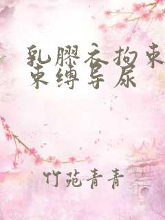 乳胶衣拘束震动束缚导尿