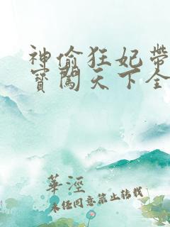 神偷狂妃带着宝宝闯天下全文免费阅读