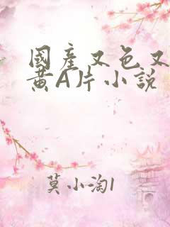 国产又色又爽又黄A片小说