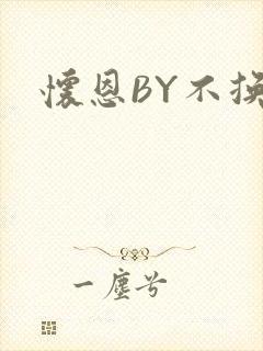 怀恩BY不换