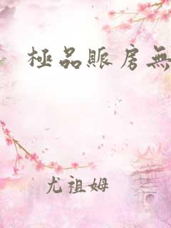 极品账房无弹窗