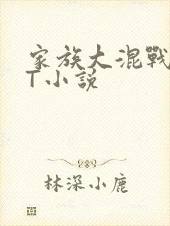 家族大混战TXT小说