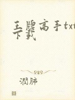 王牌高手txt下载