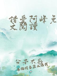 错爱阿峰免费全文阅读