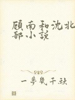 顾南和沈北是哪部小说