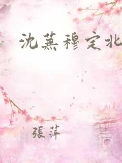 沈芜穆定北小说