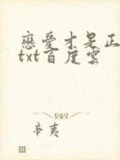 恋爱才是正经事txt百度云