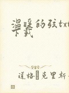 温暖的弦txt下载