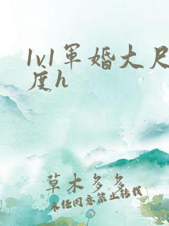 1v1军婚大尺度h