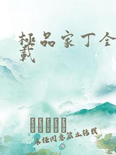 极品家丁全集下载